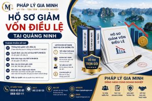 Hồ sơ giảm vốn điều lệ Quảng Ninh